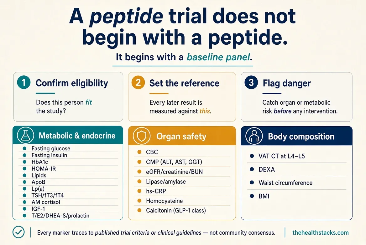A peptide trial does not begin with a peptide. The baseline panel confirms eligibility, sets the reference every later result is judged against, and flags organ or metabolic risk before anyone is dosed.