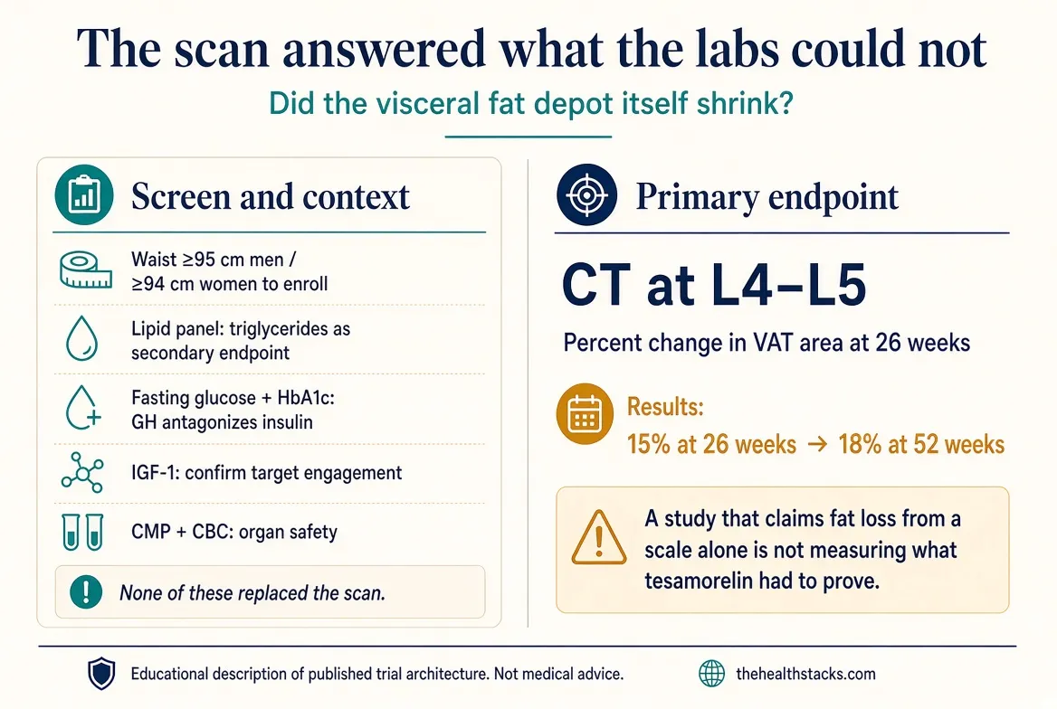 A scale answers "did mass change?" The tesamorelin program needed "did this fat depot shrink?" Labs framed metabolism and safety. Only the scan answered the primary question.