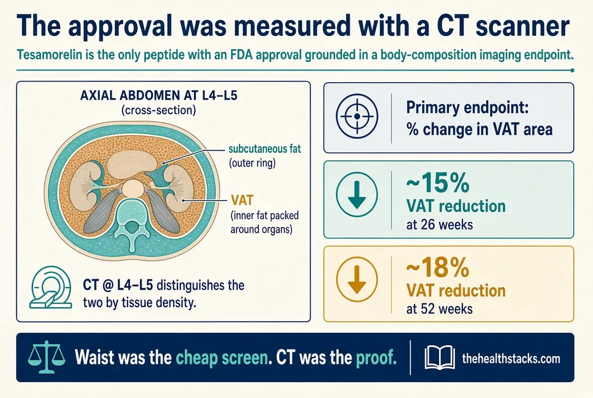 Most drug approvals live in a blood value. Tesamorelin's FDA approval lived in a CT slice at L4–L5. Not weight. Not BMI. Visceral adipose tissue area.