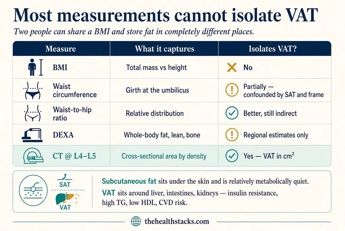 BMI and a scale cannot tell visceral from subcutaneous, or fat from lean. Waist is a screen. Only CT or MRI at a standardized level isolates VAT.